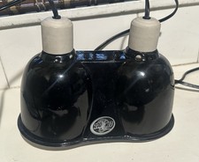 Zoo med lab for sale  San Jose