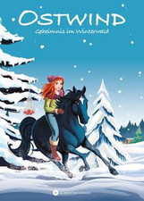 Stwind geheimnis winterwald gebraucht kaufen  Berlin