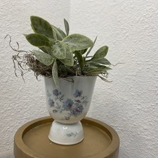 Vtg limoges bernardaud for sale  Rohnert Park