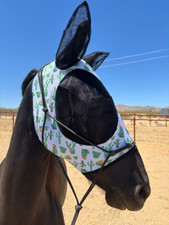 Fern best horse for sale  Landers