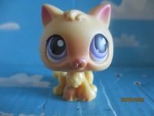 Petshop kitten 248 d'occasion  Expédié en Belgium