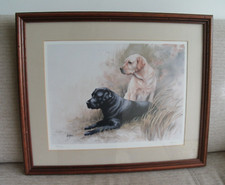 Terry logan limited for sale  BIGGLESWADE