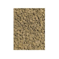 Jbl novo pleco gebraucht kaufen Jbl novo pleco gebraucht kaufen  Bad Teinach-Zavelstein