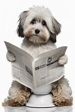Havanese toilet metal for sale  DUNSTABLE