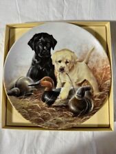 Field puppies plate for sale  Big Bend