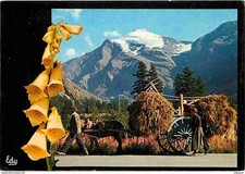 Animaux chevaux retour d'occasion  Fruges