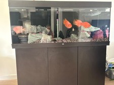 Juwel rio 450l for sale  MANSFIELD