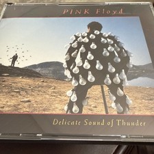 Pink Floyd : Delicate Sound of Thunder CD 2 discs (1988) First Issue, Like New! comprar usado  Enviando para Brazil