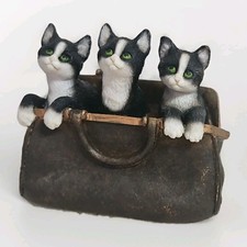 Leonardo collection cat for sale  NOTTINGHAM