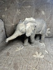 Tuskers leading way for sale  BALLYMONEY