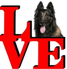 Belgian tervuren love for sale  Pottstown