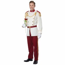 Fantasia masculina Royal Storybook príncipe encantado conto de fadas renascentista livro semanas comprar usado  Enviando para Brazil