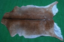 animal skin for sale animal skin for sale  SOUTHALL