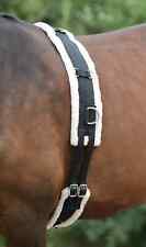 Horse masters lunging for sale  MANCHESTER