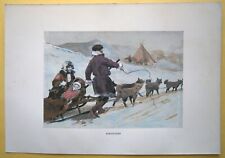 Russia samoyeds lithograph for sale  Shipping to Ireland