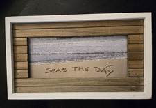 Seas day lisart for sale  Gainesville