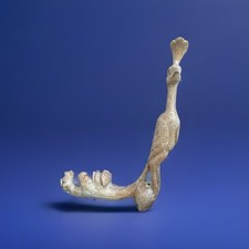 Vintage hand carved for sale  New Braunfels