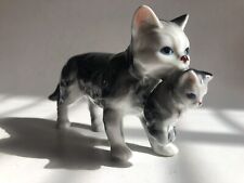 Silver grey tabby for sale  UK