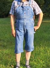Ultimative dickies jeans gebraucht kaufen  Frankenberg