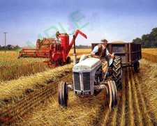 Ferguson te20 tractor for sale  CROYDON