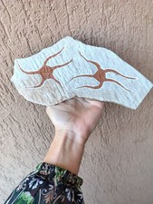 Fossili stelle marine usato  Pontedera
