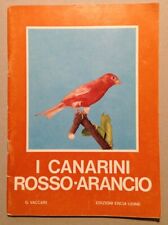 Vaccari canarini rosso usato  Italia