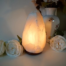 Wunderschöne salzkristall leu gebraucht kaufen  Laatzen