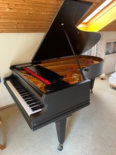 Bechstein flügel gebraucht kaufen  Bensheim