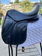 Symphony collection frank for sale  Niceville