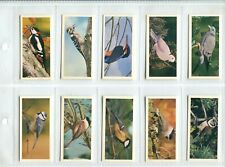 British birds 1976 for sale  SWINDON