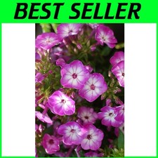 Sturdy volcano purple for sale  Gloucester City