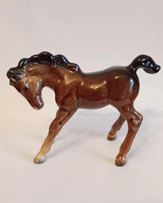 Beswick brown foal for sale  ULVERSTON