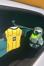 Borussia dortmund bvb gebraucht kaufen  Dortmund