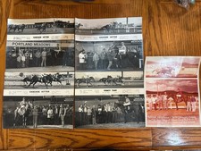 Vintage lot horse for sale  Pahrump