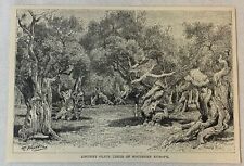 1895 magazine engraving for sale  Wilmington