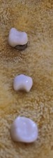 Human teeth porcelain for sale  Fort Myers