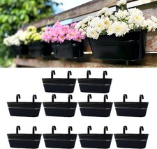 Lalagreen outdoor plants for sale  Barberton