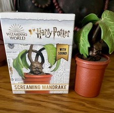 mandrakes for sale  WARRINGTON