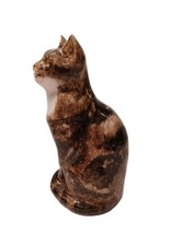 Winstanley tabby cat for sale  CREDITON