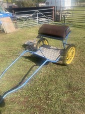 Horse pony exercise for sale  BRISTOL