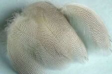 Flanc canard montage d'occasion  Clermont-Ferrand-