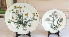 Botanica villeroy boch d'occasion  Castelnau-le-Lez
