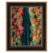 11x14 ornate picture for sale  Metairie