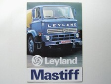 cypres leyland d'occasion cypres leyland d'occasion France