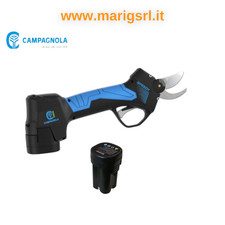 Campagnola forbice elettrica usato  Vallo della Lucania