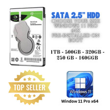 hd 1 tb sata comprar usado  Enviando para Brazil
