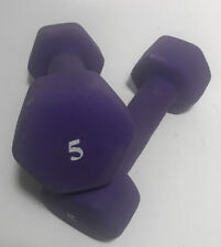 Pair neoprene dumbbell for sale  Lake Wales