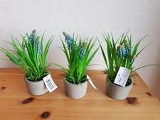 Traubenhyazinthe topf künstli gebraucht kaufen  Menden (Sauerland)