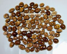 Usado, Lote Atacado Cabochão Natural Pedra Preciosa Solta Cerveja Quartzo Fumê 250 Ct Tamanho de Anel comprar usado  Enviando para Brazil