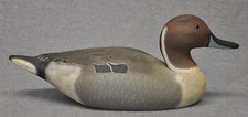 Herter pintail drake for sale  Monroe